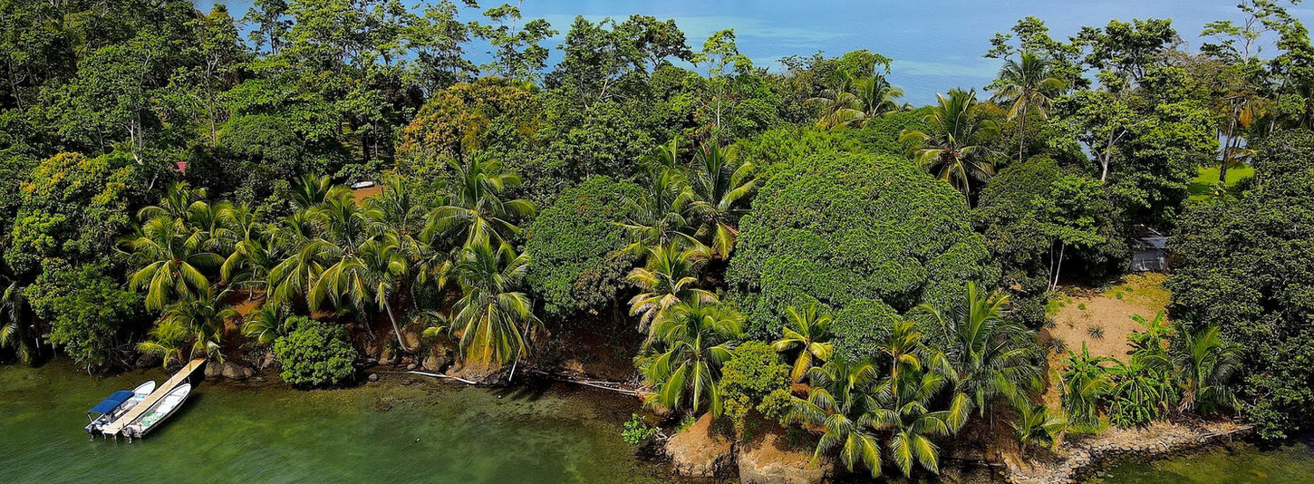 Bird view of the property