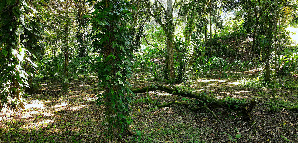 Walking and showing the land