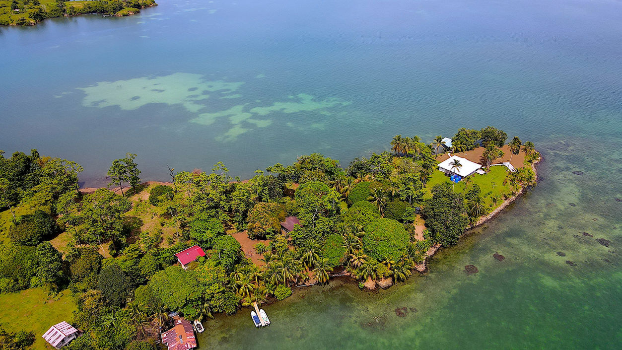 Bird view of the property