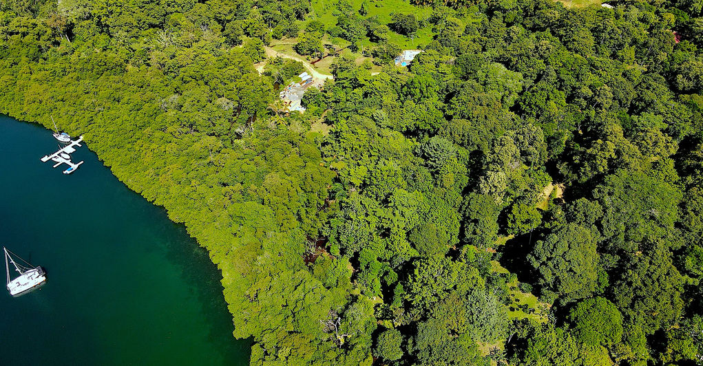 Bird view of the property