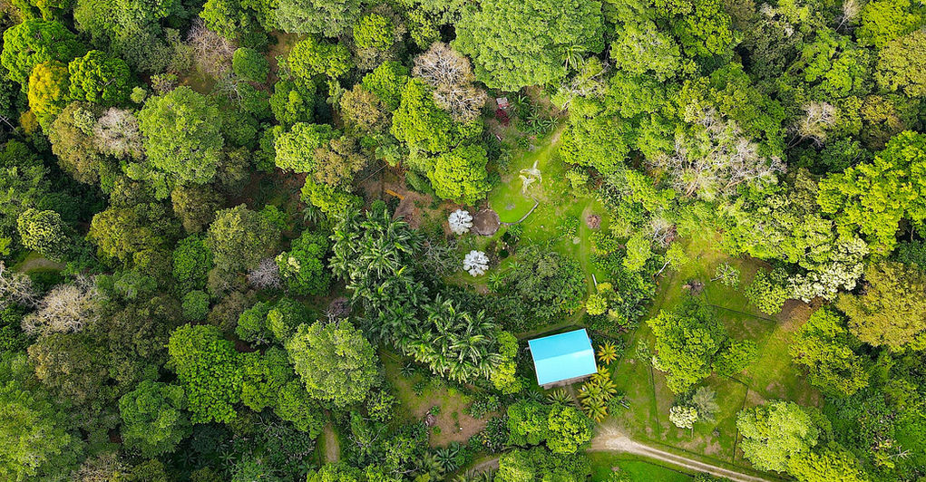 Aerial view of the property
