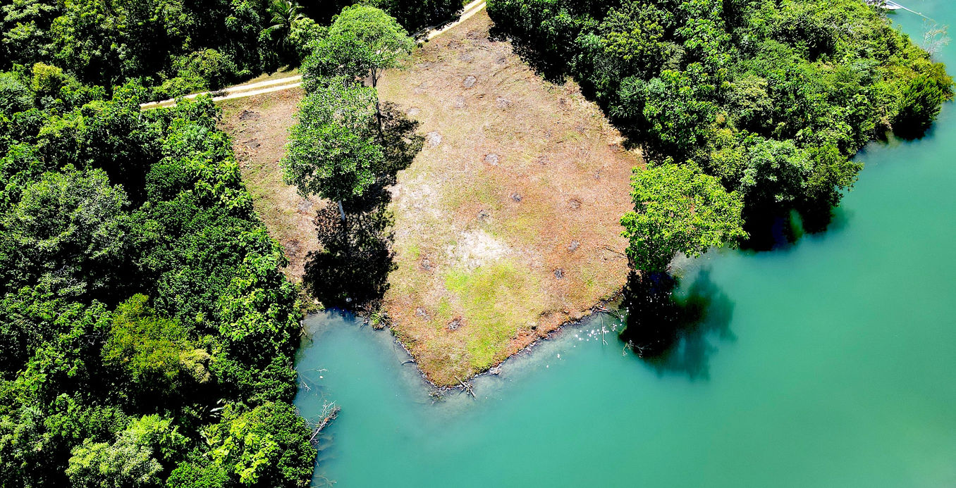 Bird view of the property