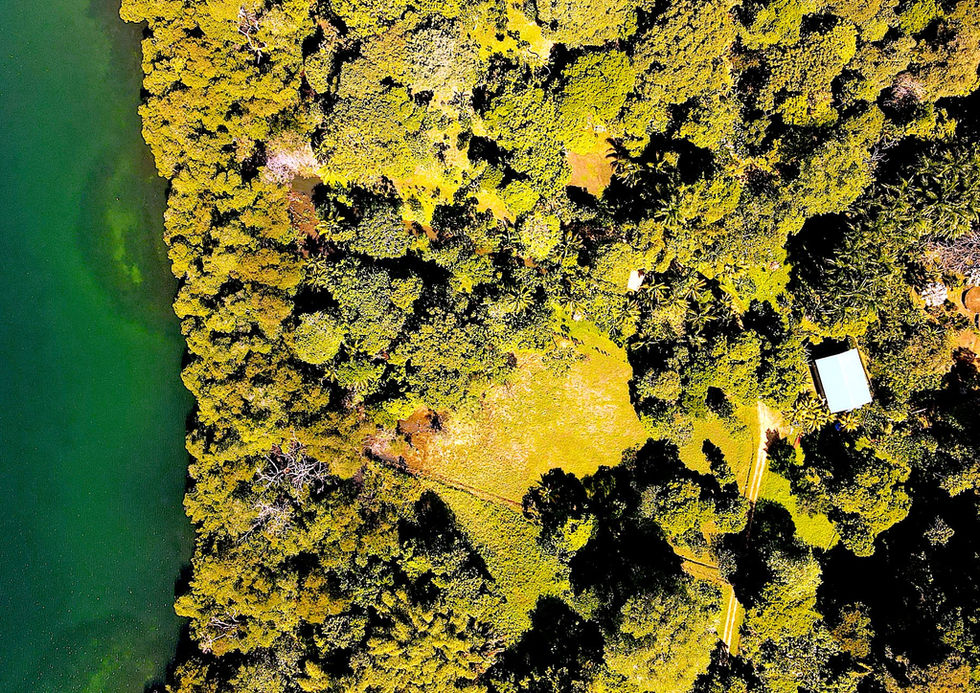 Bird view of the large flat Property