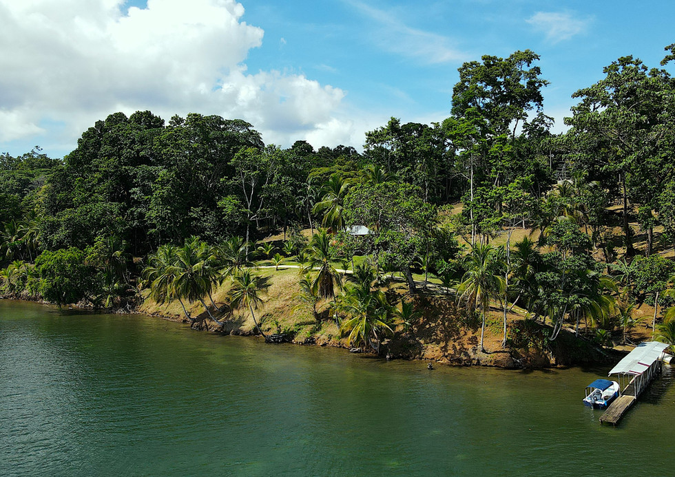 Bird view of the property