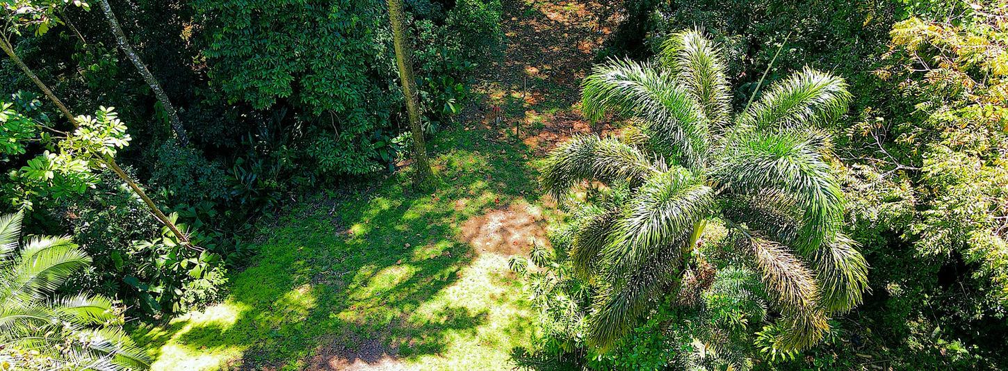 Bird view of the property