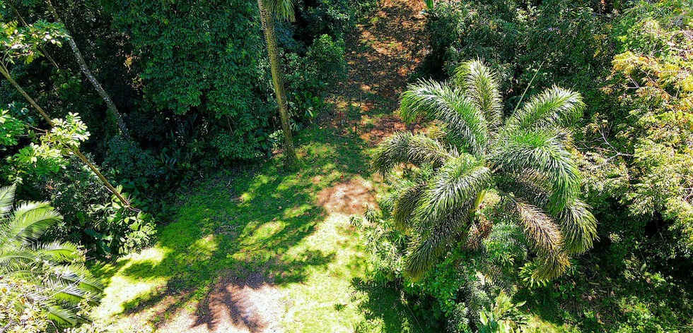 Bird view of the property