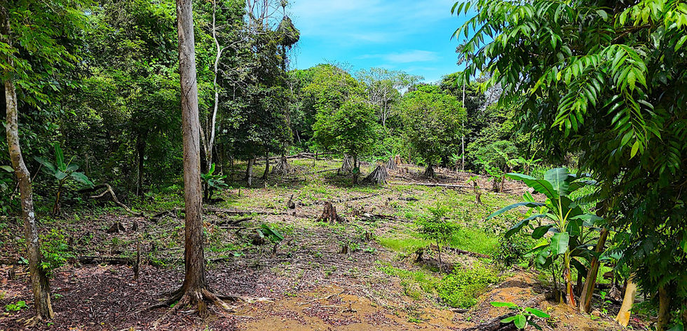 View of the land