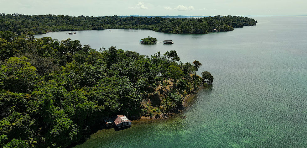Bird view of the Peninsula land in Bocas del Toro