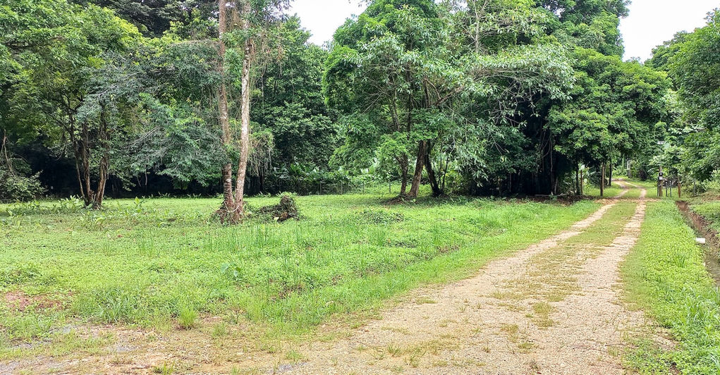 View of the flat land