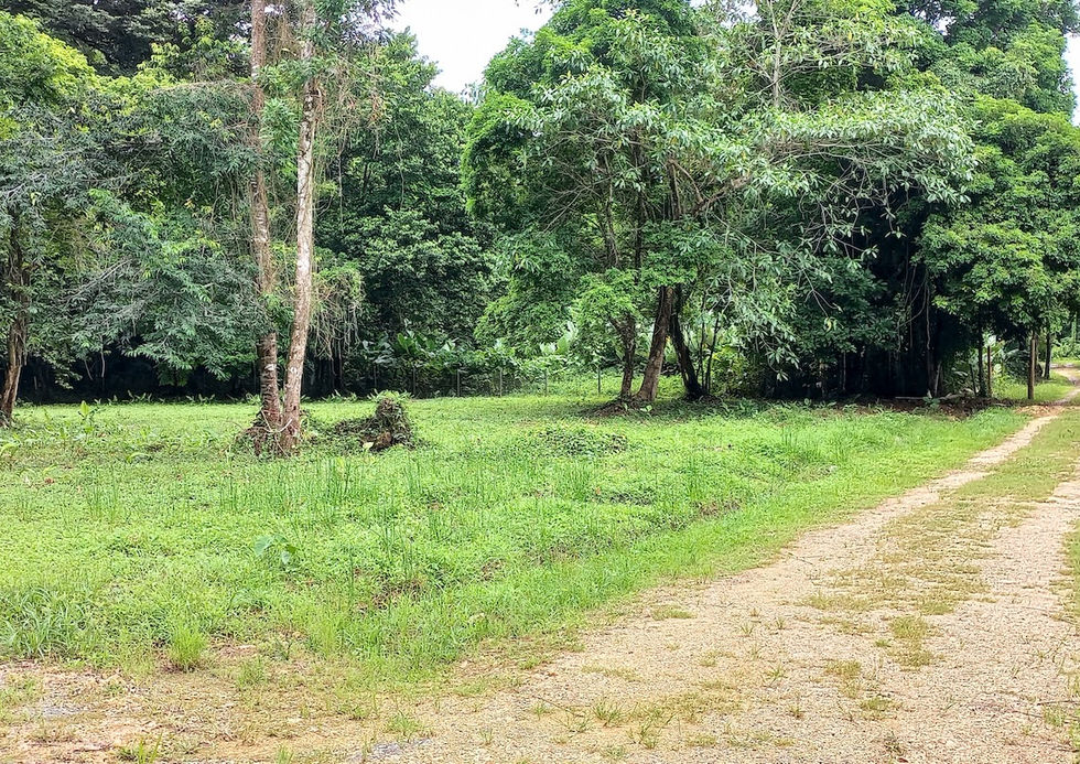 View of the flat land