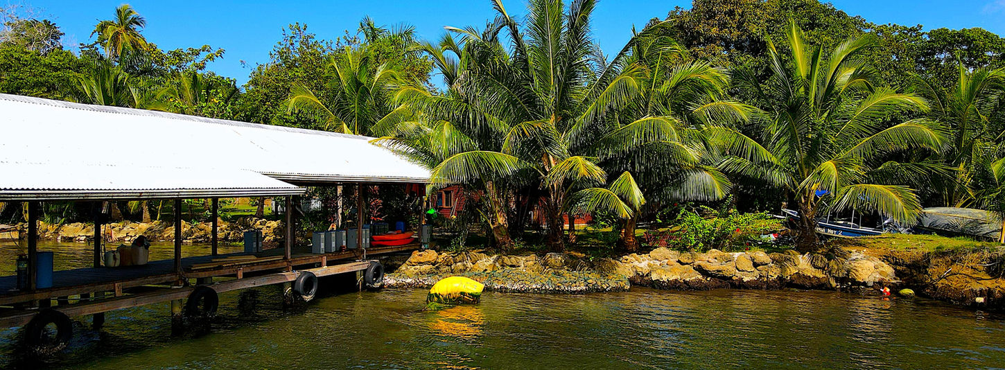 Back access to the land