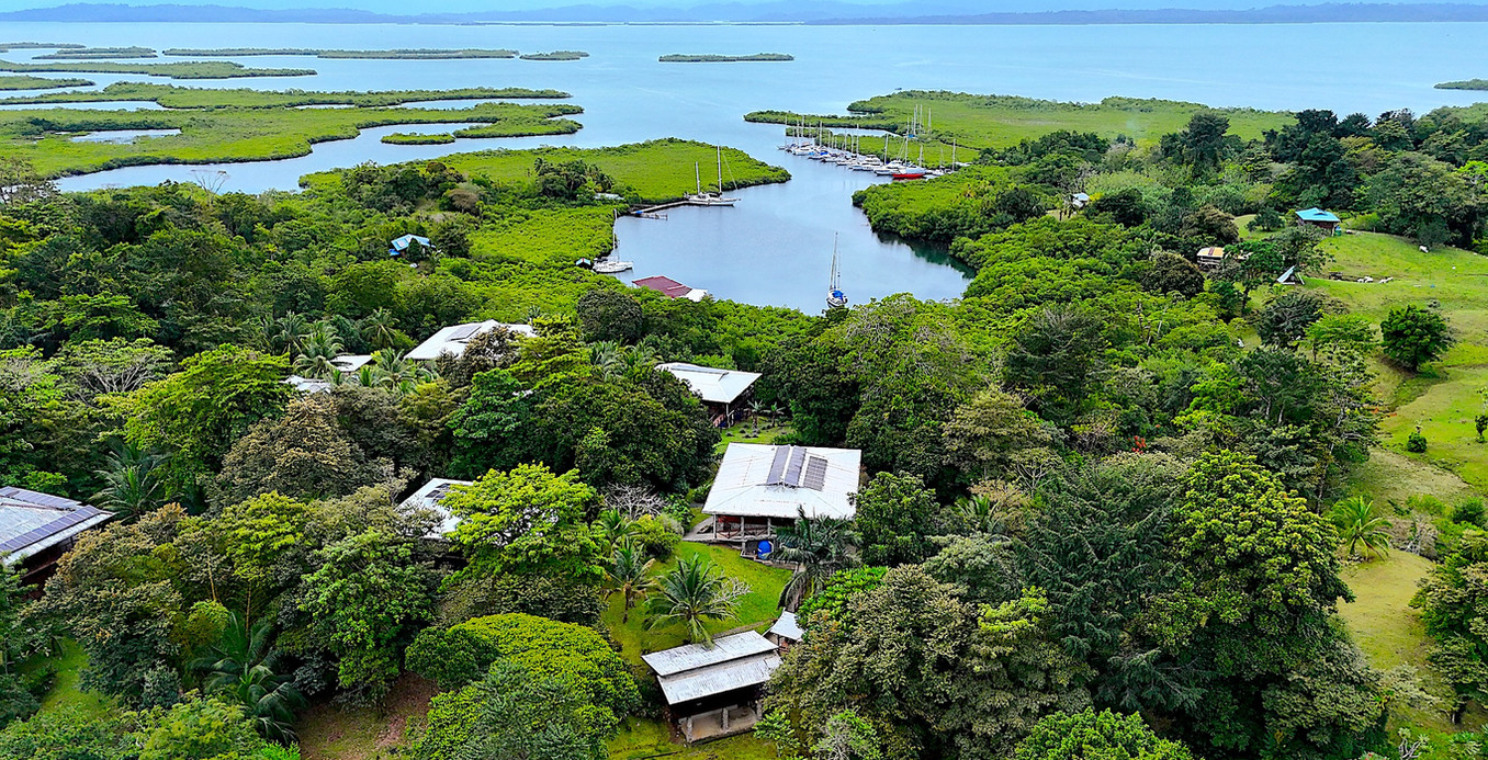 Aerial view of the community