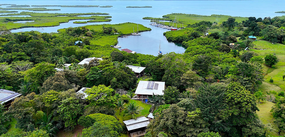 Aerial view of the community 