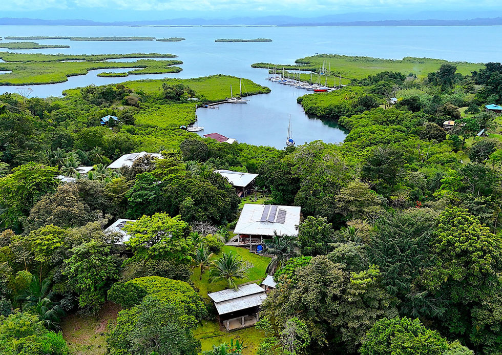 Aerial view of the community