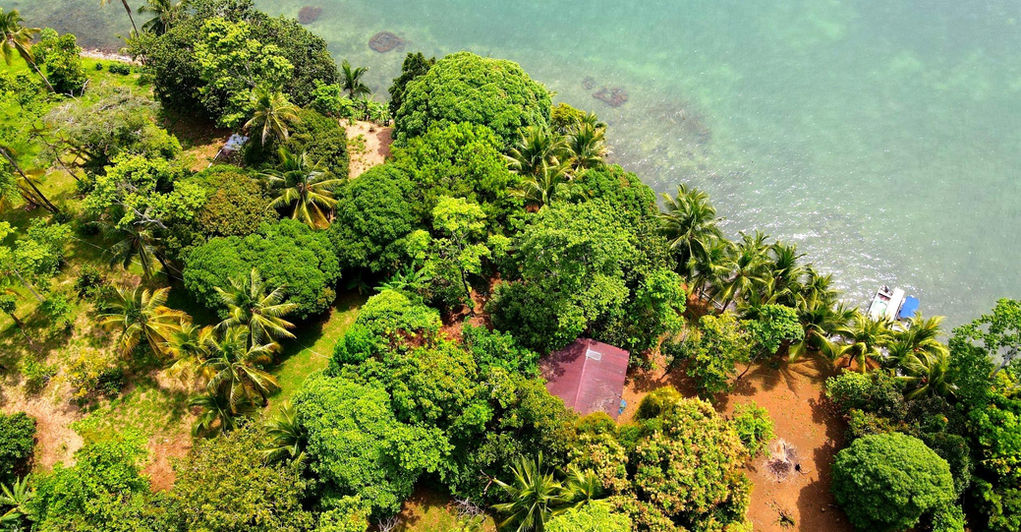 Bird view of the property