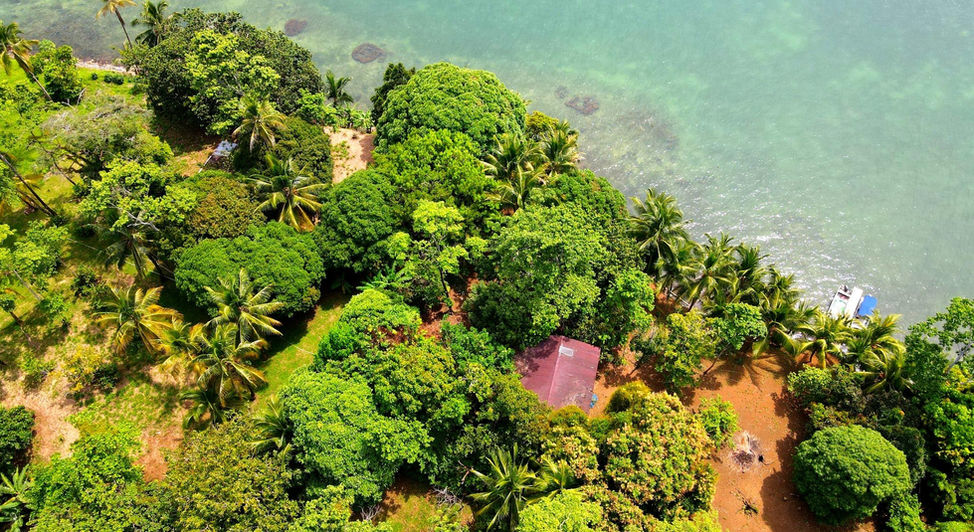 Bird view of the property