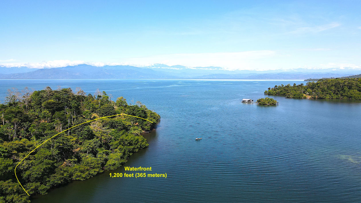 View of the the property lines (approximately)