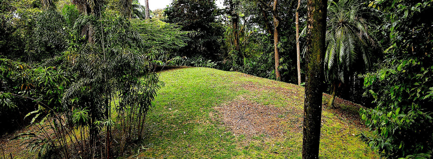 Hilltop land view