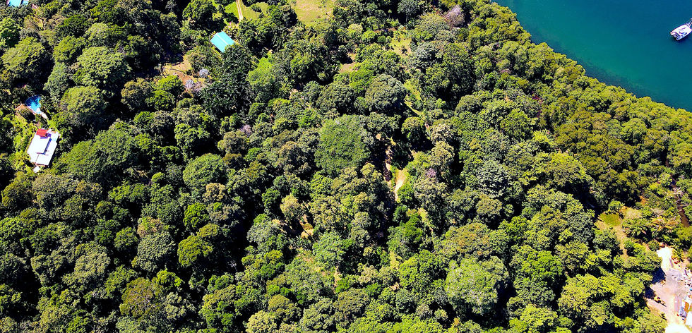 Bird view of the property