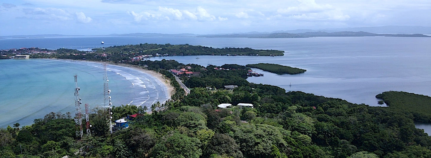 Aerial view of the property