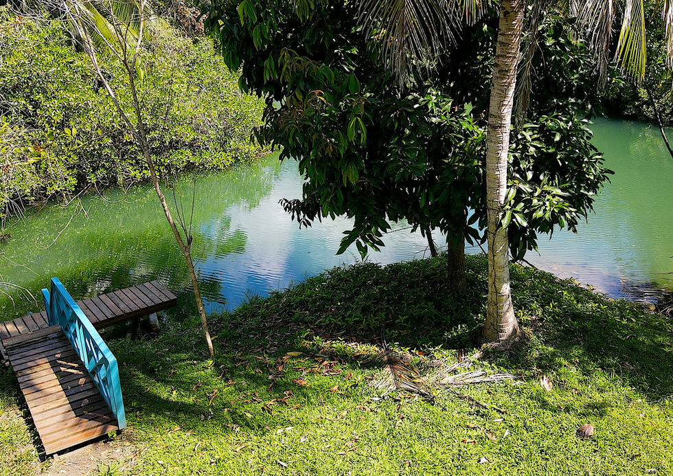 View of the land and the canal