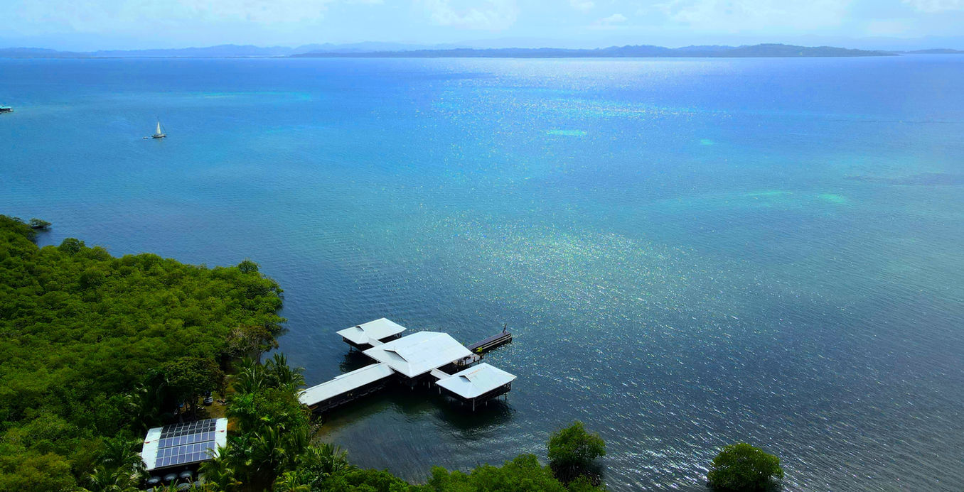 Bird view of the property