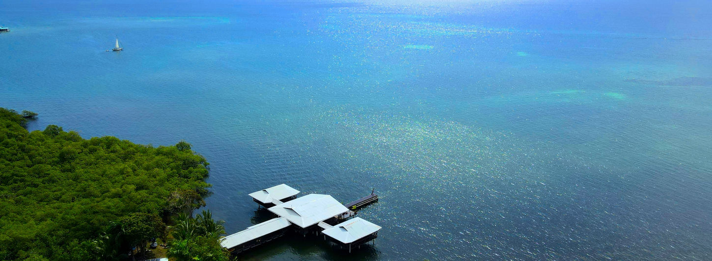 Bird view of the property