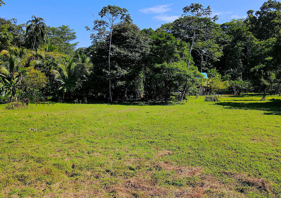 Large flat land titled Property