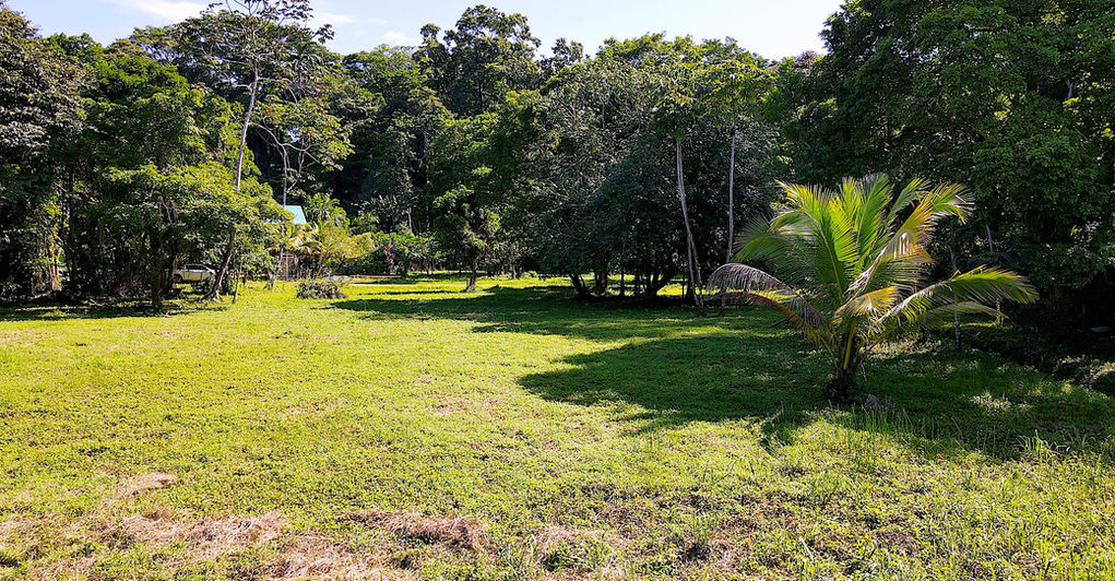 Large flat land titled Property