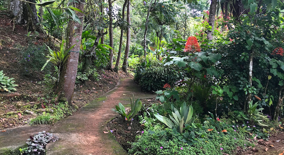 Landscaping
