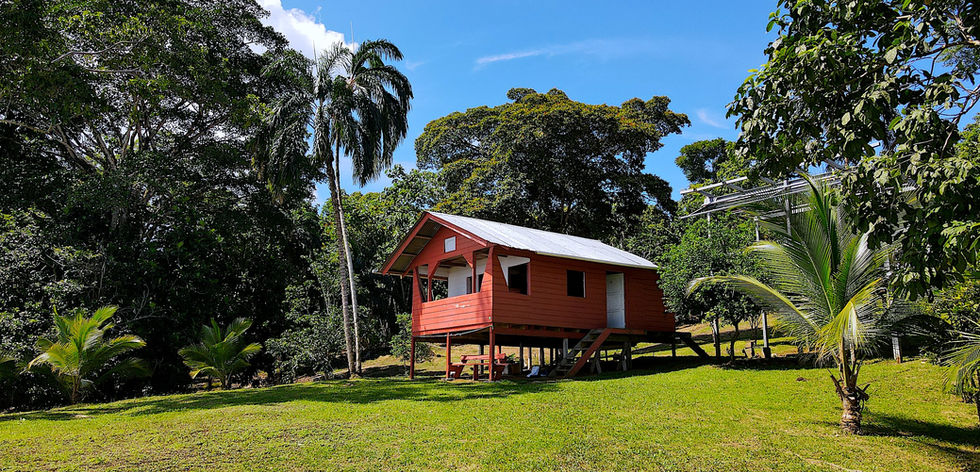 Cabin on the property