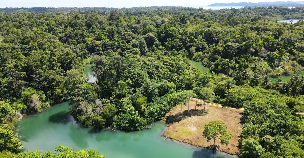 Bird view of the Gated development In Bocas del Toro