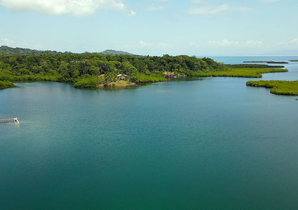 Bird view of the property