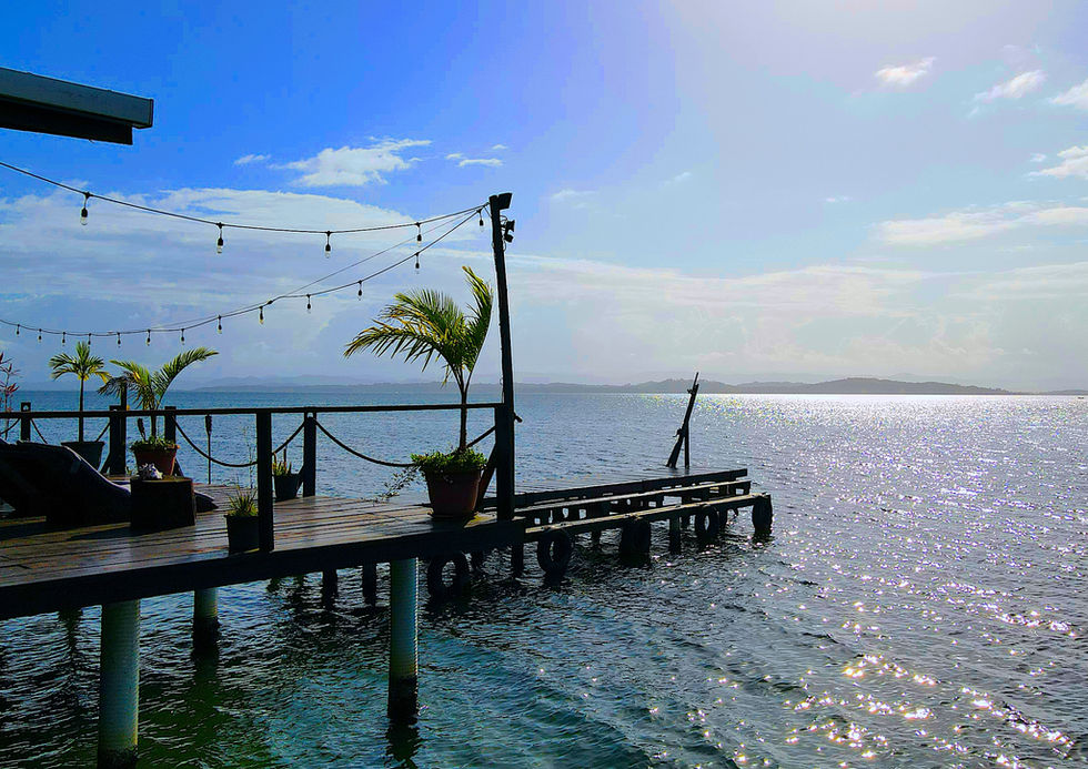 Reception dock 