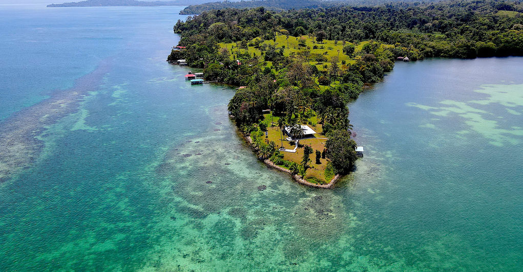 Aerial view of the property