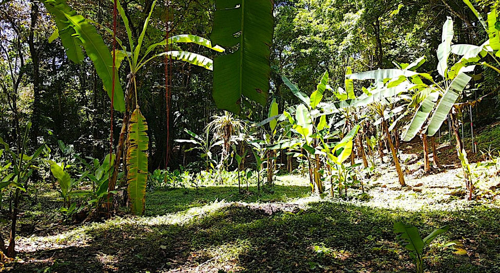 Pictures of the land