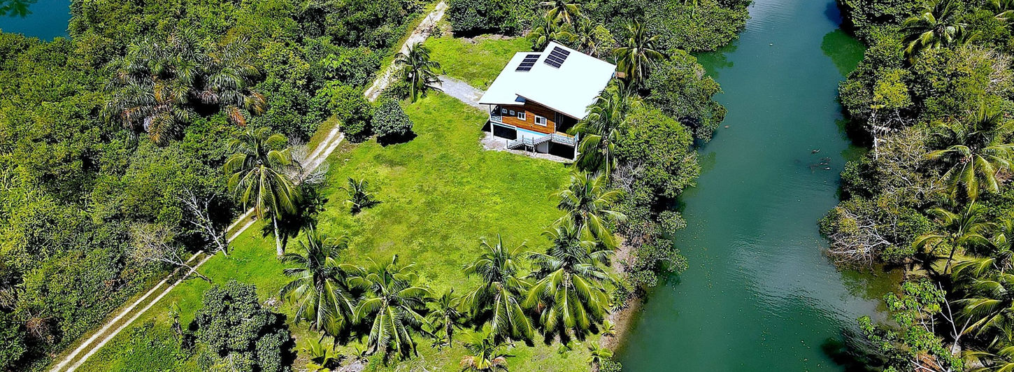 Bird view of the property