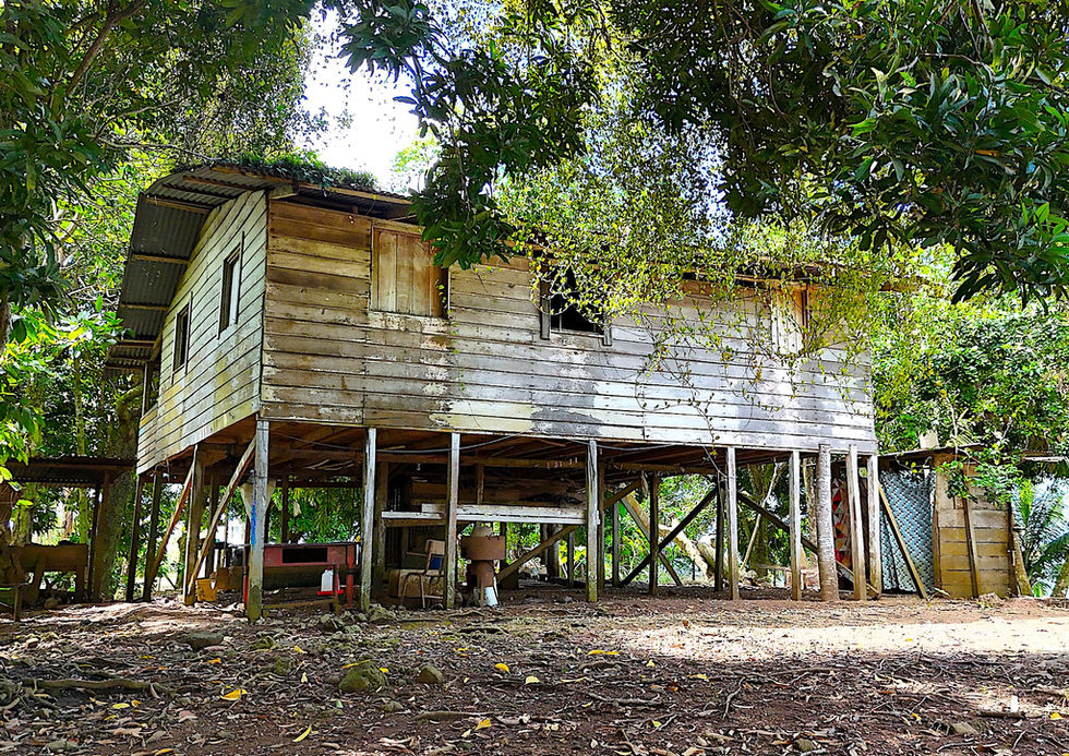 Lot and Main House
