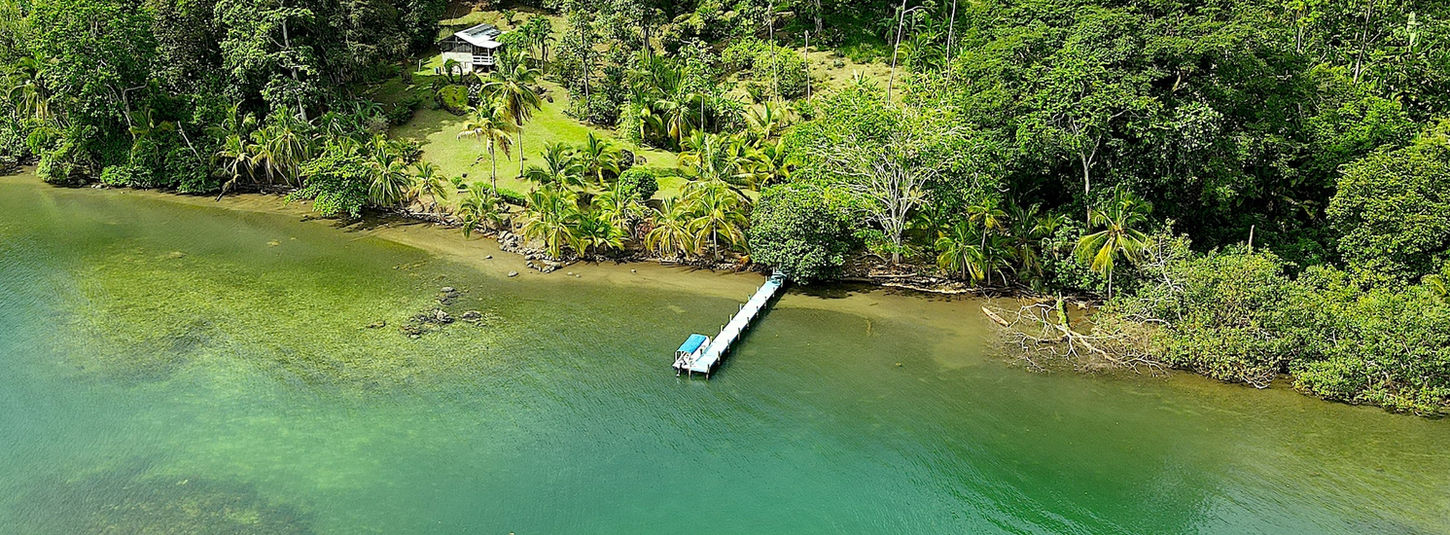 Bird view of the move-in ready with huge land, snorkel reef in front