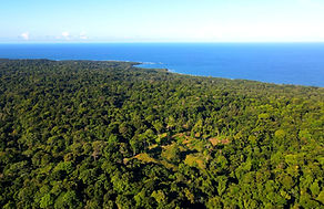 Property for sale in Bocas del Toro Panamá