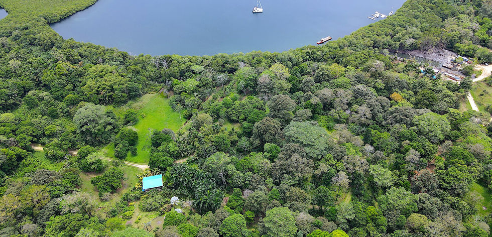 Bird's eye view of the property