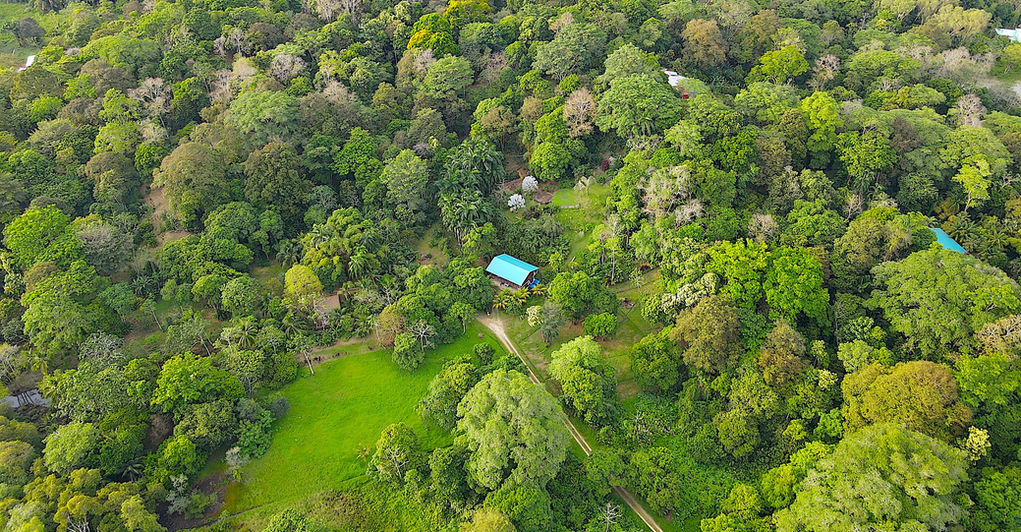 Aerial view of the property