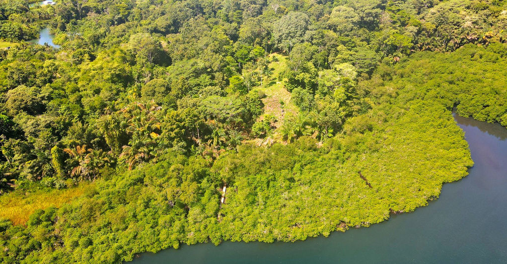 Aerial property view