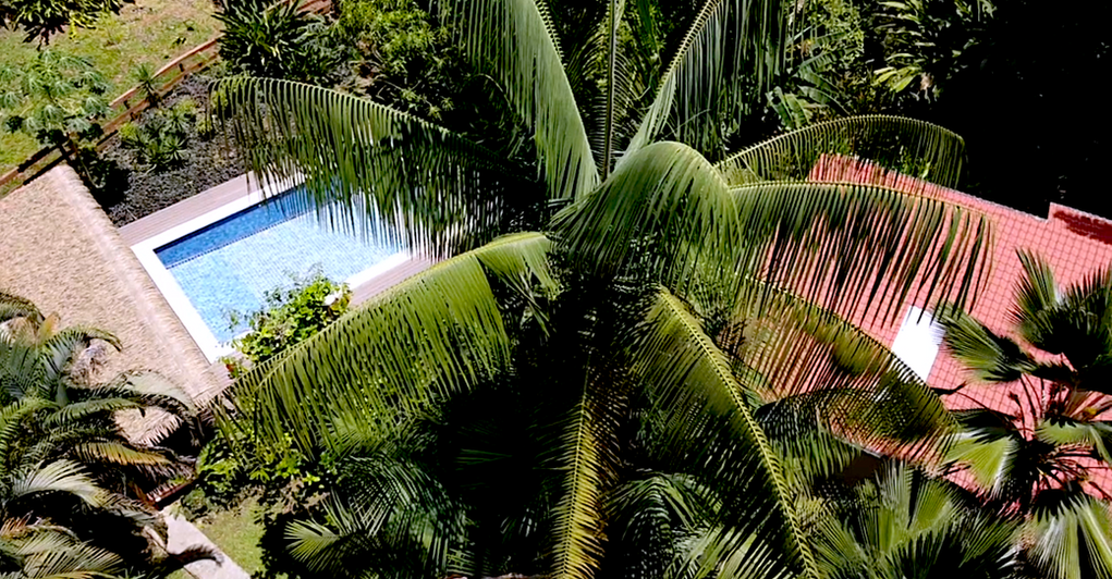 Bird view of the villa and the swimming pool