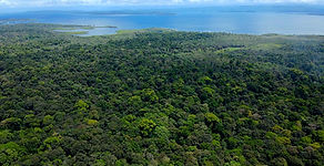 Property for sale in Bocas del Toro Panamá