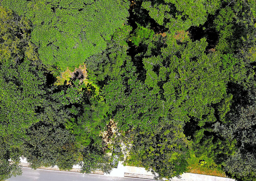 A bird's-eye view of the  property entrance