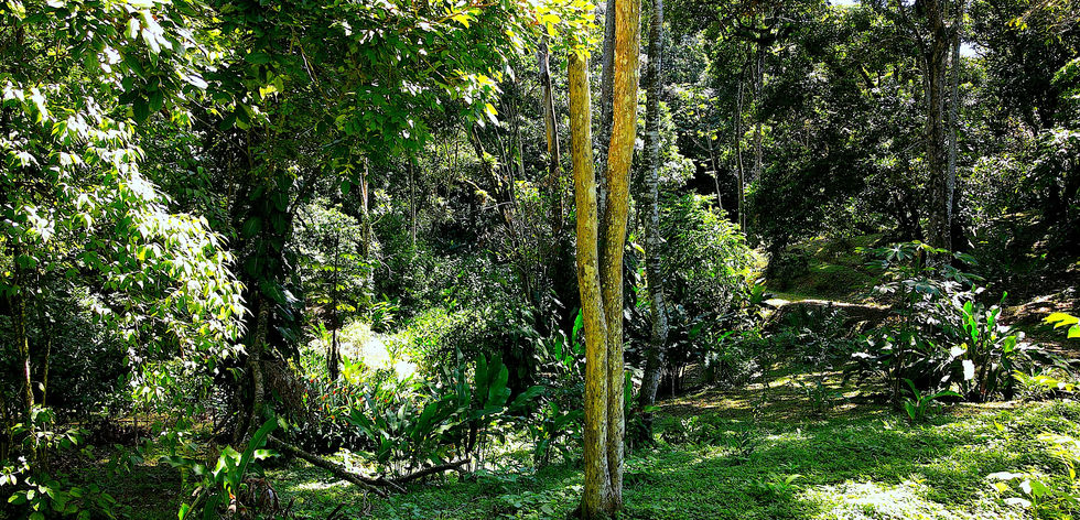 Walking and showing the land