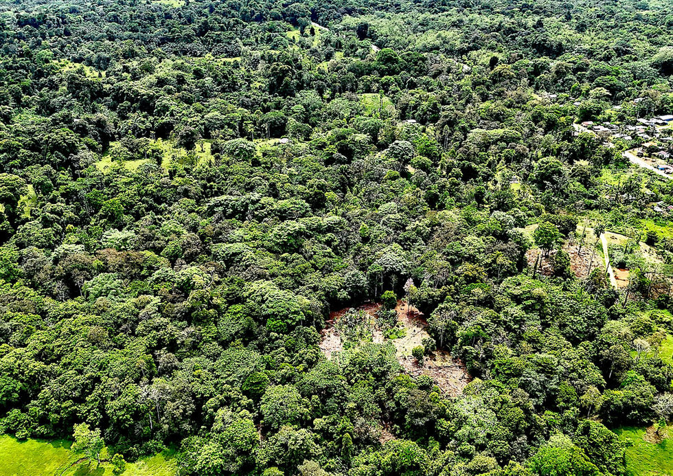 Aerial view of the property