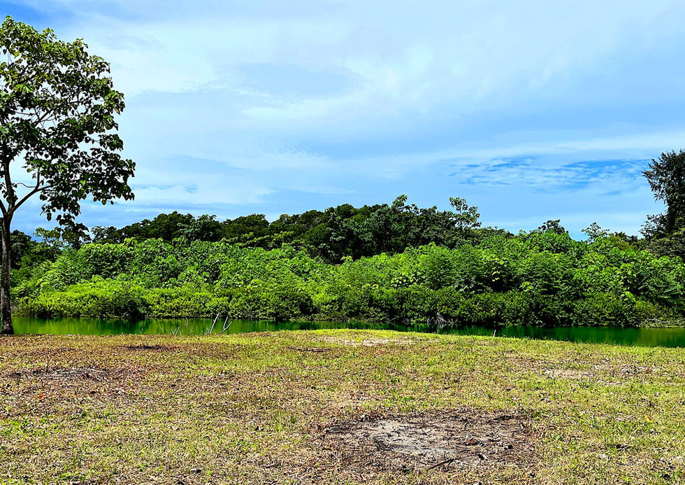 Titled Land with water and road access close to Bocas Town.