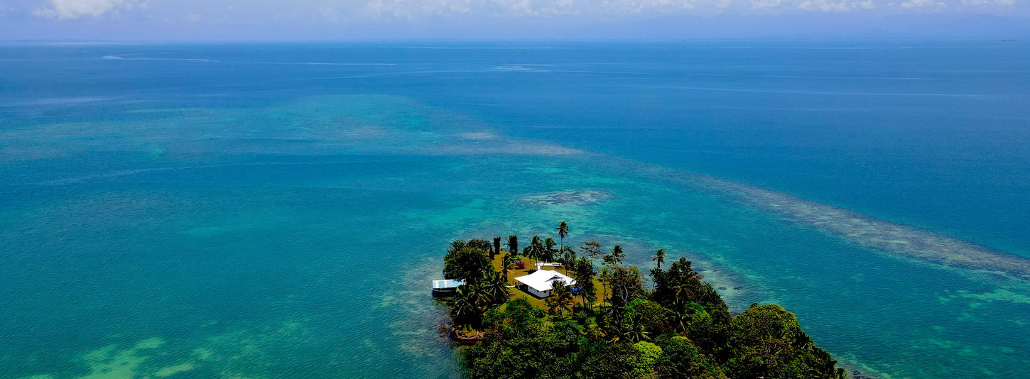 Aerial view of the property